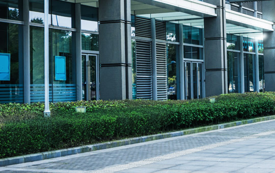 Haies nettoyage entretien precision services